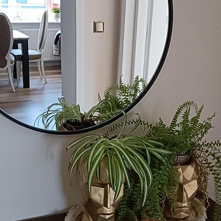 Apartamenty Holender House Choczewo エクステリア 写真