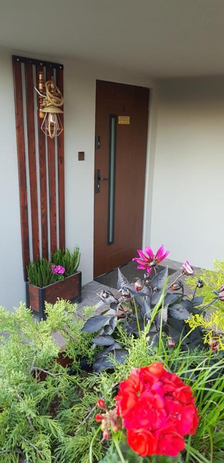 Apartamenty Holender House Choczewo エクステリア 写真