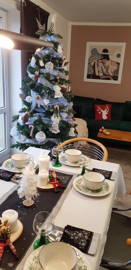 Apartamenty Holender House Choczewo エクステリア 写真
